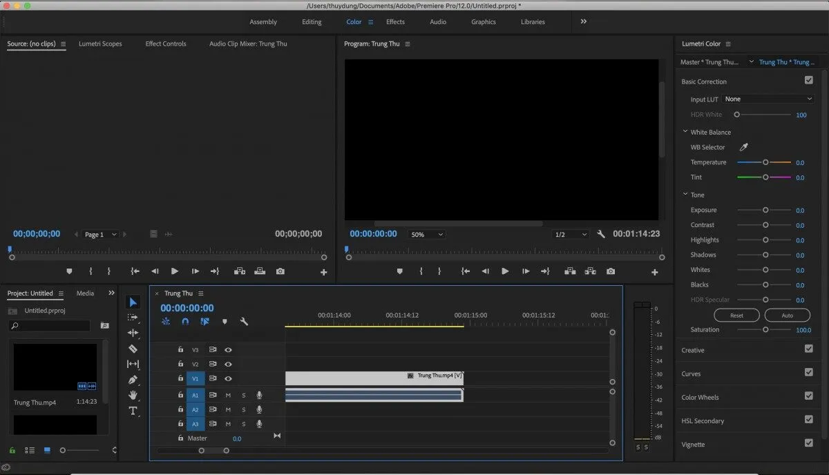 Tối ưu hóa Quản lý Dự án trong Premiere Pro bằng Nhãn Màu